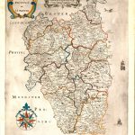 BRO-09-18-Leinster-Petty-1655