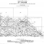 IE-CAVAN-03