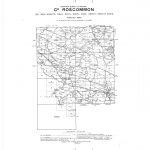 IE-ROSCOMMON-06