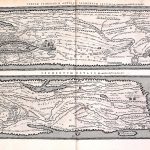 M-aa-15-41-Tabula Itineraria, Marco Velsero 7,8