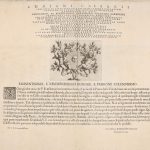 Italy-1-Adriani-Caesaris-Estate-F3-017_1