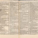 Italy-1-Adriani-Caesaris-Estate-F3-017_13