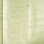 Conohy